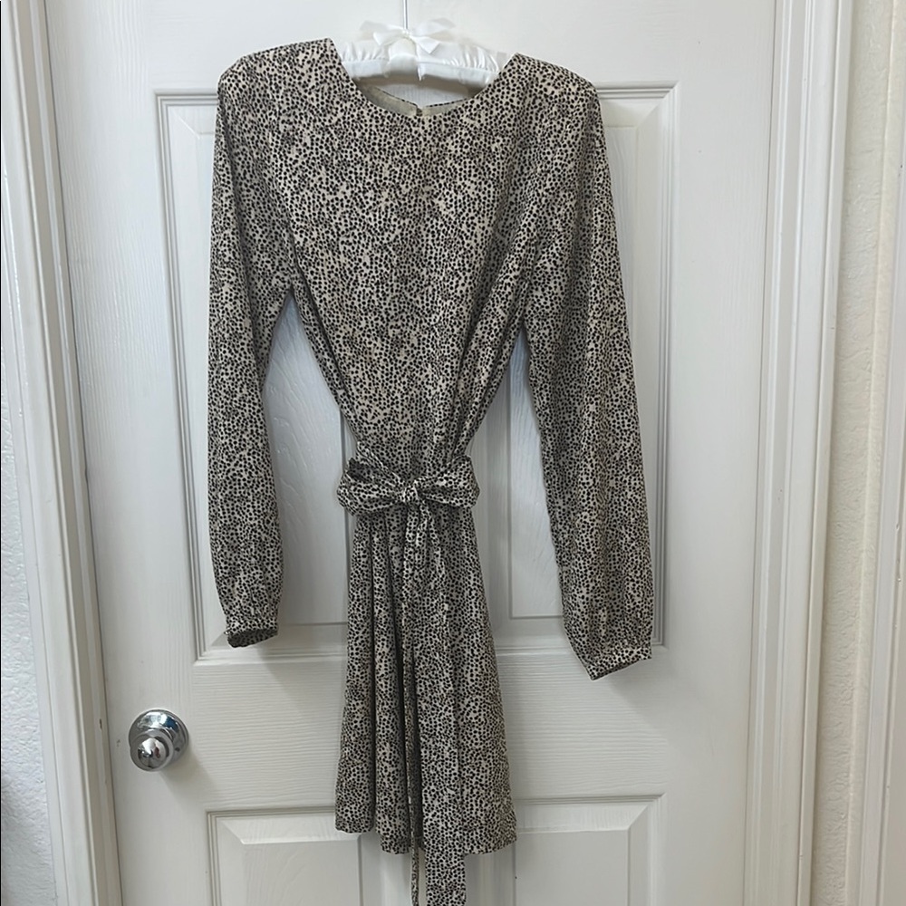 H&M Long Sleeve Leopard Print Dress